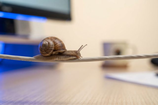 Pomalá firemní síť: jak najít viníka krok za krokem